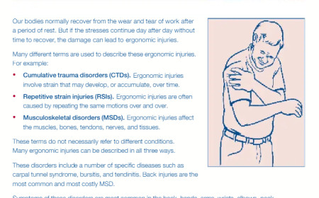Gestión de Riesgos Ergonómicos: Identificación, Evaluación y Prevención