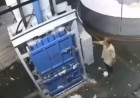 Aplastamiento con compactadora (se recomienda discrecion)